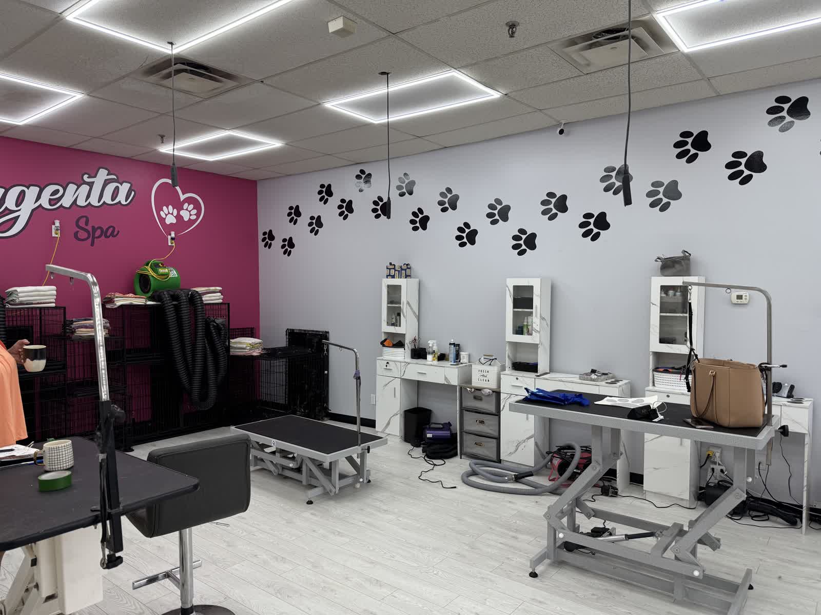 Les postes de toilettage de Magenta Spa